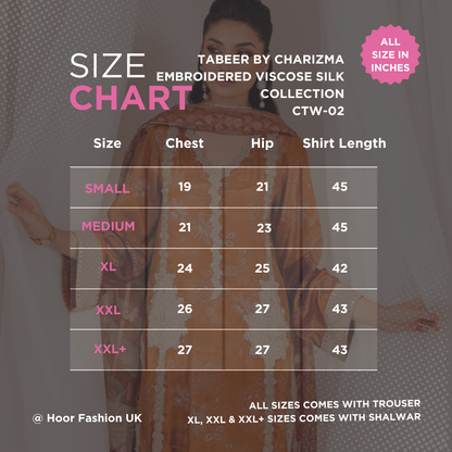 CTW-02 - Fully Stitched 3PC - Printed & Embroidered Viscose Silk Collection - Tabeer by Charizma